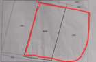 2 Terenuri intravilane Corunca (Mures) - 3