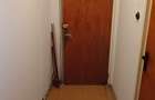 Piata Delfinului - Apartament 2 camere , confort 2 sporit - 7
