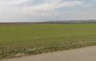 Teren Intravilan 1.73 Ha Bucov lângă Casa Timiș | Deschidere 70m la asfalt  - 1