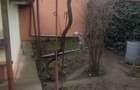 CASA 2 CORPURI - PALAZU MARE - 5