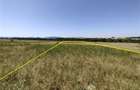Nicolint, 2 Terenuri Extravilane, Arabil, 1.45 Hectare - 11