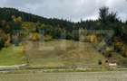 INVESTIȚIE! Teren extravilan, 30360 mp, loc. Broșteni, periferie SV - 1