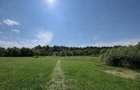 Teren extravilan | Horodnic De Sus | 3600MP - 2