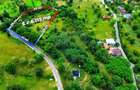 Teren intravilan 6115mp | Danesti, Maramures | Oportunitate investitie - 1