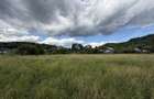 Teren plat-intravilan -3800 mp, cu pădurice și ieșire la râu! - 15