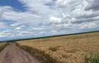BRASOV,Teren agricol 19.600 mp, 1,96 ha/ Săcele,Front stradal 56 ml,Investiție - 3