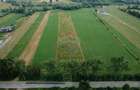Teren 10,000mp Nemtisor / DJ 155C - 23