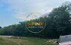 Teren intravilan 1000mp | Snagov | Padure I Drum asfaltat