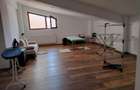 casa superba, zona linistita, accesibil, cu mansarda locuibila de 100mp. - 43