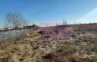 Săbăreni, teren intravilan construibil, cu utilităti in apropiere - 4