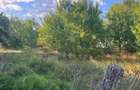 Darova, Teren Intravilan 1060 Mp., Str. Principala - 4