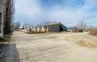 Hale de inchiriat in Tomesti, la str. Plopilor, de la 324mp la 2000mp - 9