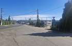 Spatiu de lnchiriat ln Corbeanca , Zona tamasi    - 1