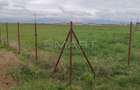 Teren  intravilan cu PUZ 30.000 mp Prejmer - 4