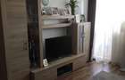 40073  Apartament 2 camere Abator - 9