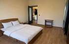 Apartament 2 camere in bloc vila zona Teatrul Dramatic - 4