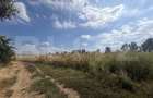 Teren extravilan, 9000 mp, zona Nusfalau - 3