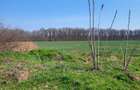 OCazie RARĂ – Teren premium lângă pădure, Izvorani! Padure ! - 5