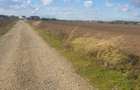 Teren  1 Decembrie, Ilfov | Deschidere 60 mp - 2