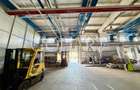 Spațiu industrial de închiriat | Pantelimon - 5