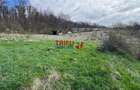 Teren de vanzare pentru cabana langa padure in Ampoita - 1