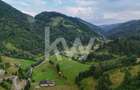 Teren de vanzare RUCAR -   ARGES - 5