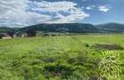 Teren intravilan-Crainimat -3000mp-ideal investitie construire casa - 3