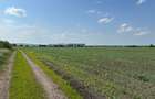 Teren 13.500 mp pentru dezvoltare in Sura Mica / jud. Sibiu - 5