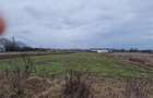 RECO Teren intravilan in Bors cu front mare - 2