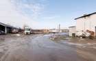 RECO . Proprietate industriala Tileagd . - 20