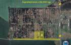 Teren intravilan de vanzare, zona Exterior Sud, 61124 mp #16562 - 2