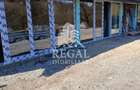 Proprietate cu potențial, într-un cadru natural de vis – 3581 mp teren - 1