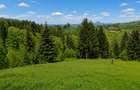 Bran Mountain Retreat – Doar 3 vile exclusiviste în inima Branului - 5