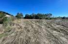 Teren intravilan de vanzare, 970mp, Turcinesti - 1