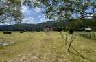 De vanzare | Teren intravilan 2802mp | Sabasa | Borca | Neamt