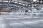 Complex industrial modern cu spații de birouri | Timișoara | România - 4