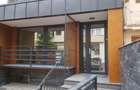 Vila zona Kiseleff - 20