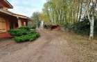 Vilă 380 mp cu deschidere la Lacul Snagov | 4.700 mp teren | Piscină - 1