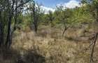 Teren intravilan de vanzare, 1.400 mp, zona Viile Noi - 3