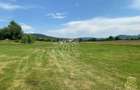 Teren 7200 mp-parcelabil-investitie-Sieu Magherus la 16 km de Bistrita - 3