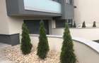 INCHIRIERE   Vila S+P+2 E - 4