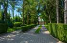 Lakefront Estate | 3.000 mp Teren | Ponton Privat | Snagov - 2