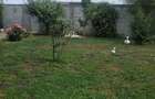 CASA LA CHEIE !!! DIRECT PROPRIETAR - 22