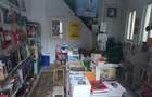 UNIRII,MANTULEASA,SECTOR 2,  VILA   SUPERBA  ,IDEAL FIRMA/CLINICA,1100000EURO - 21