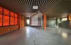 Spatiu Comercial | 250 mp util | Strada Poienilor - 4