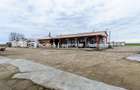 Hale depozitare/producție 2.000 mp si 10.000 mp teren în Pecica - 13