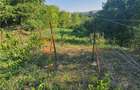 Exclusivitate! Teren intravilan zona Beceni - 5