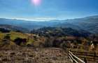 Teren de vânzare în sat Măgura/ Brasov– loc pentru familie, liniște și suflet - 16