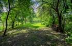 Casă locuibilă în Dărmănești — 50.000 € - 6