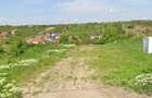 Vanzare Teren intravilan 3133 mp strada Sofiei, Oradea, Bihor - Exclusivitatate - 1